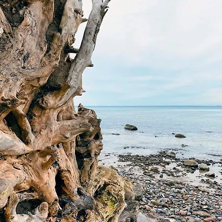 Horst 1 Rot Kalkhorst