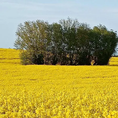 Horst 1 Rot Appartement *
